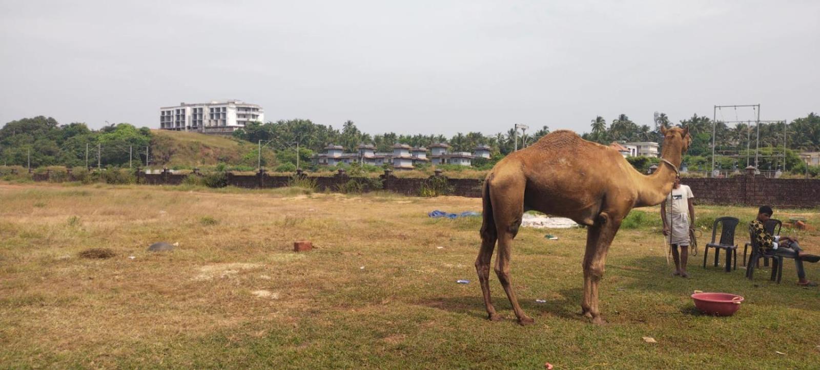Bekal Fort Beach Resorts Bekal Town 外观 照片