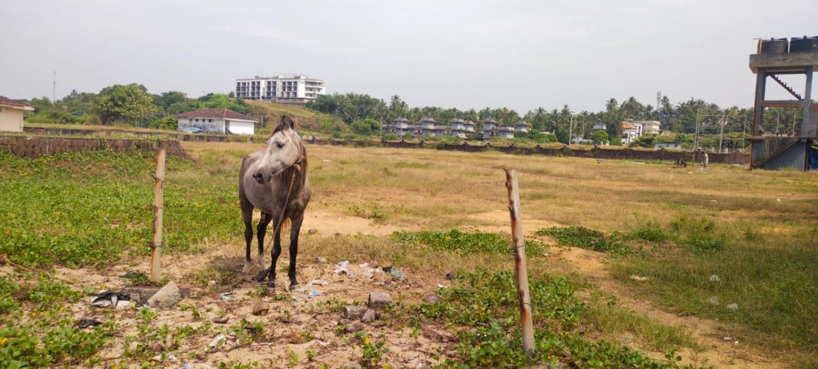 Bekal Fort Beach Resorts Bekal Town 外观 照片